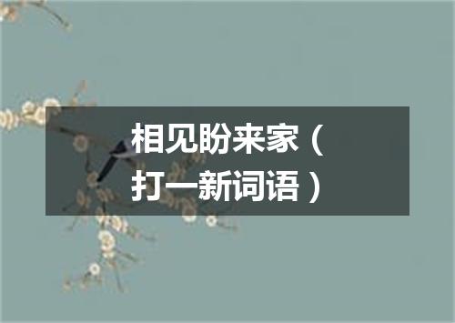 相见盼来家（打一新词语）