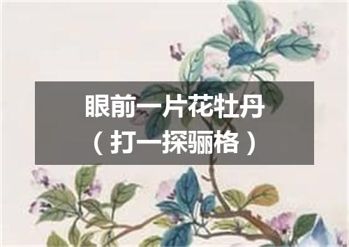 眼前一片花牡丹（打一探骊格）