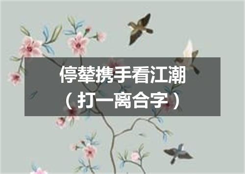 停辇携手看江潮（打一离合字）