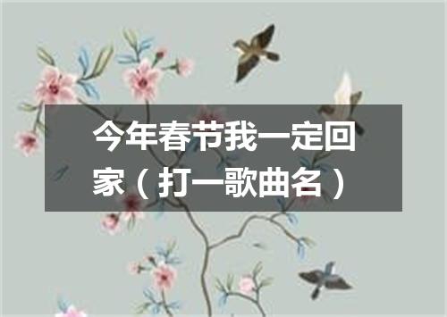 今年春节我一定回家（打一歌曲名）