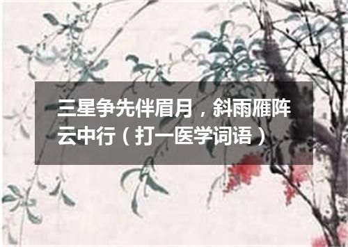 三星争先伴眉月，斜雨雁阵云中行（打一医学词语）