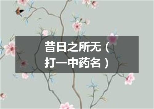 昔日之所无（打一中药名）