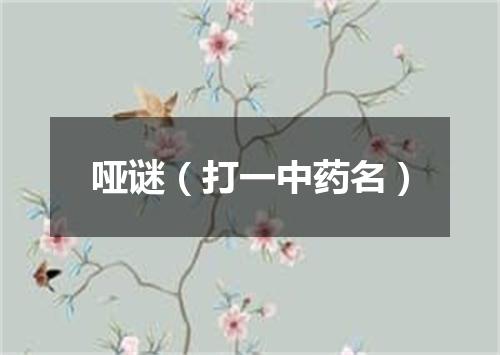 哑谜（打一中药名）