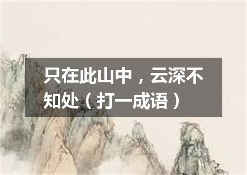 只在此山中，云深不知处（打一成语）