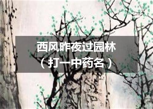 西风昨夜过园林（打一中药名）