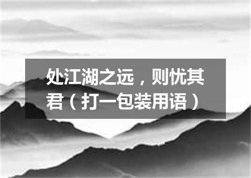 处江湖之远，则忧其君（打一包装用语）