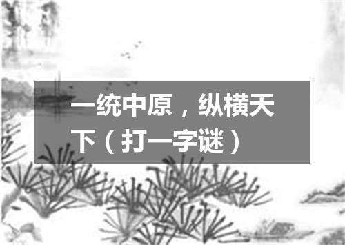 一统中原，纵横天下（打一字谜）