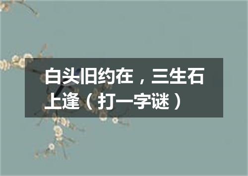 白头旧约在，三生石上逢（打一字谜）