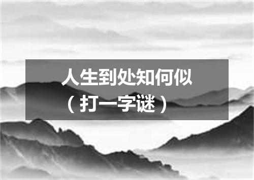 人生到处知何似（打一字谜）