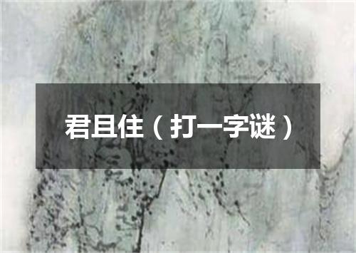 君且住（打一字谜）