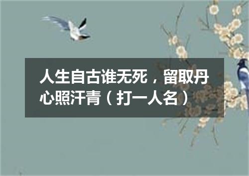 人生自古谁无死，留取丹心照汗青（打一人名）