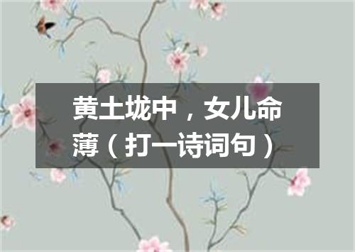 黄土垅中，女儿命薄（打一诗词句）