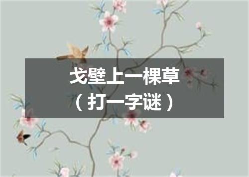 戈壁上一棵草（打一字谜）