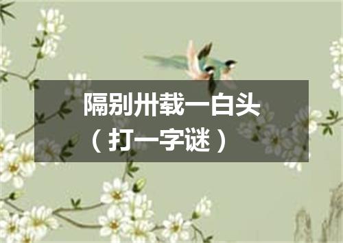 隔别卅载一白头（打一字谜）