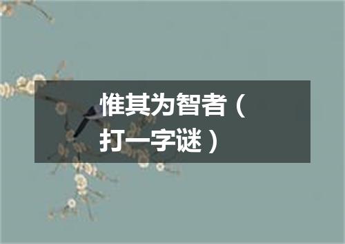 惟其为智者（打一字谜）