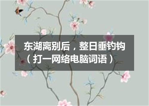 东湖离别后，整日垂钓钩（打一网络电脑词语）