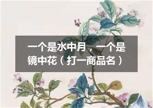 一个是水中月，一个是镜中花（打一商品名）