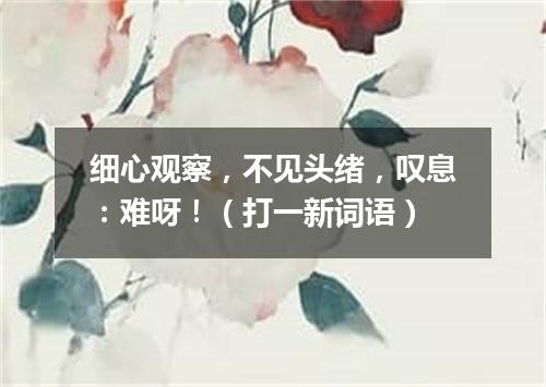 细心观察，不见头绪，叹息：难呀！（打一新词语）