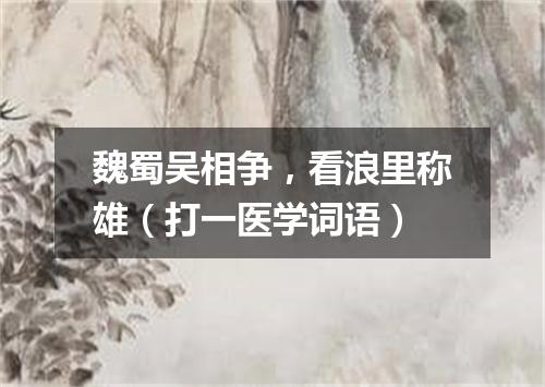 魏蜀吴相争，看浪里称雄（打一医学词语）