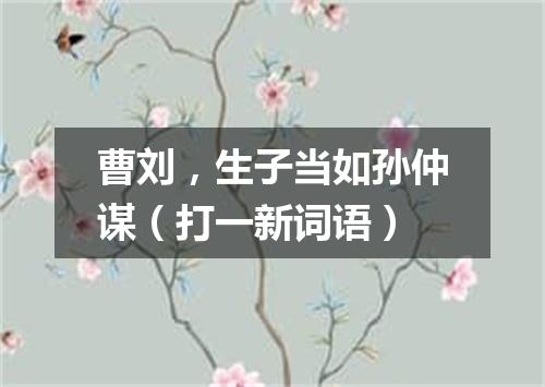 曹刘，生子当如孙仲谋（打一新词语）