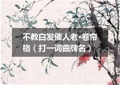 不教白发催人老·卷帘格（打一词曲牌名）