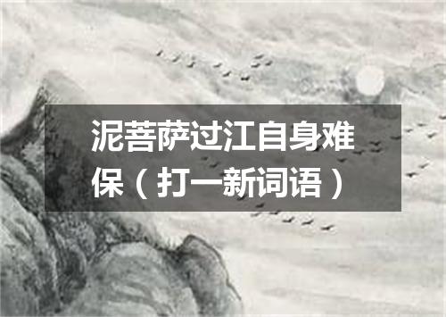 泥菩萨过江自身难保（打一新词语）