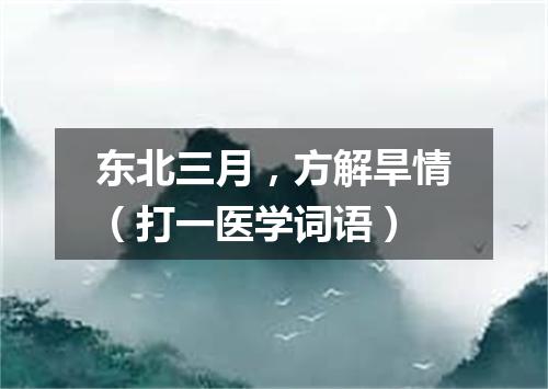 东北三月，方解旱情（打一医学词语）