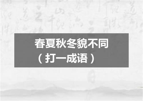 春夏秋冬貌不同（打一成语）