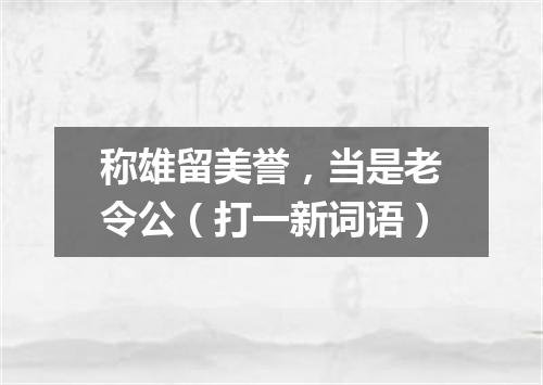 称雄留美誉，当是老令公（打一新词语）