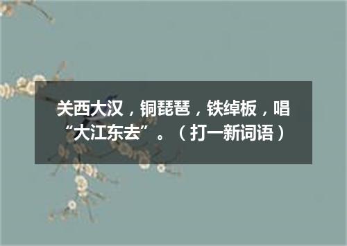 关西大汉，铜琵琶，铁绰板，唱“大江东去”。（打一新词语）