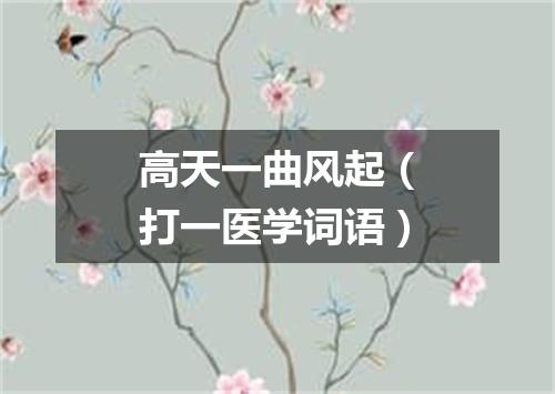 高天一曲风起（打一医学词语）