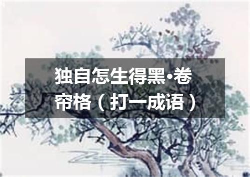 独自怎生得黑·卷帘格（打一成语）