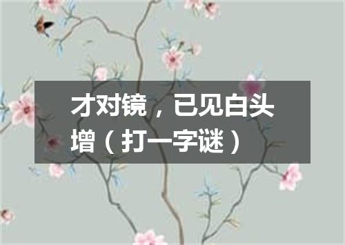 才对镜，已见白头增（打一字谜）