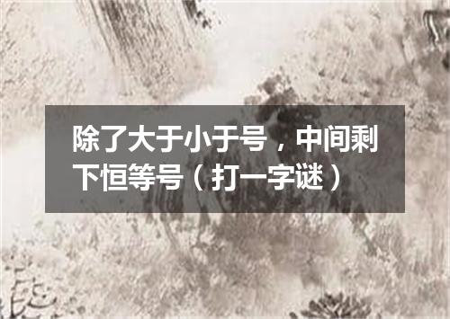 除了大于小于号，中间剩下恒等号（打一字谜）