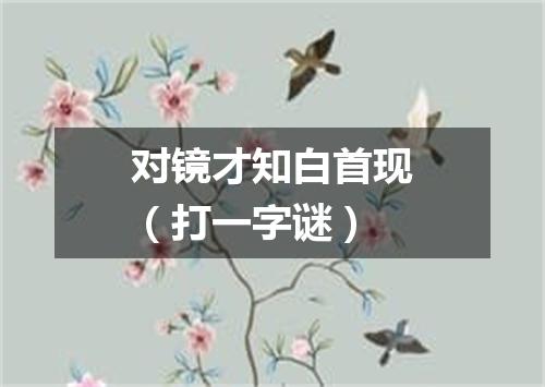 对镜才知白首现（打一字谜）