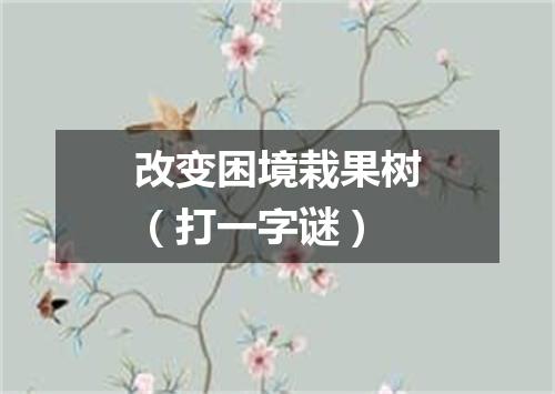 改变困境栽果树（打一字谜）