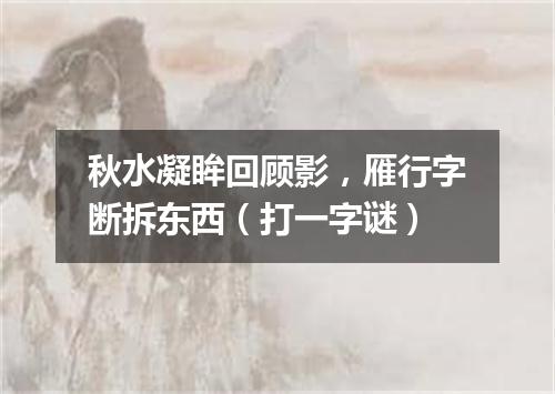 秋水凝眸回顾影，雁行字断拆东西（打一字谜）