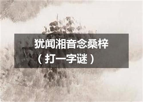 犹闻湘音念桑梓（打一字谜）