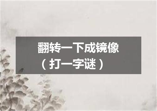 翻转一下成镜像（打一字谜）