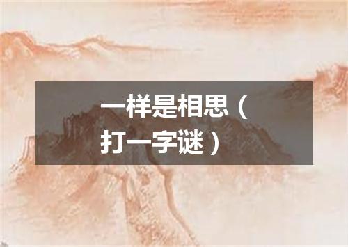 一样是相思（打一字谜）