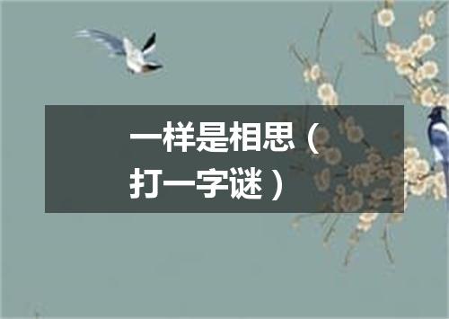 一样是相思（打一字谜）