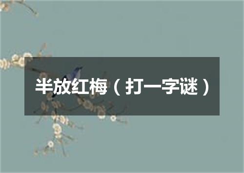 半放红梅（打一字谜）