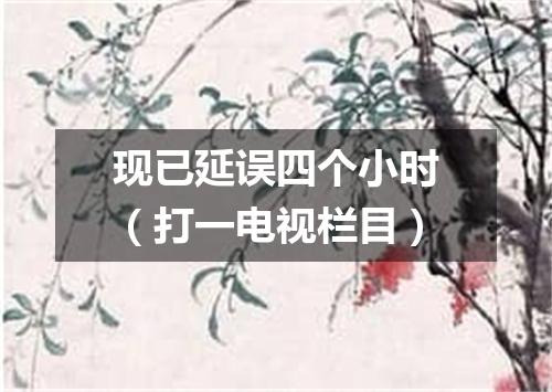 现已延误四个小时（打一电视栏目）