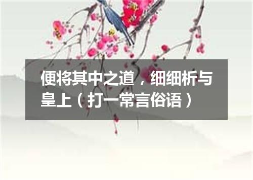 便将其中之道，细细析与皇上（打一常言俗语）