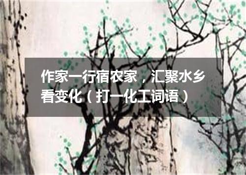 作家一行宿农家，汇聚水乡看变化（打一化工词语）