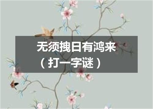 无须拽日有鸿来（打一字谜）