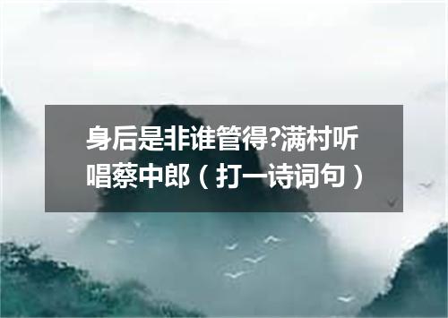 身后是非谁管得?满村听唱蔡中郎（打一诗词句）