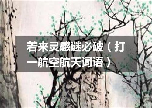 若来灵感谜必破（打一航空航天词语）