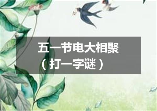 五一节电大相聚（打一字谜）