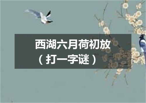 西湖六月荷初放（打一字谜）